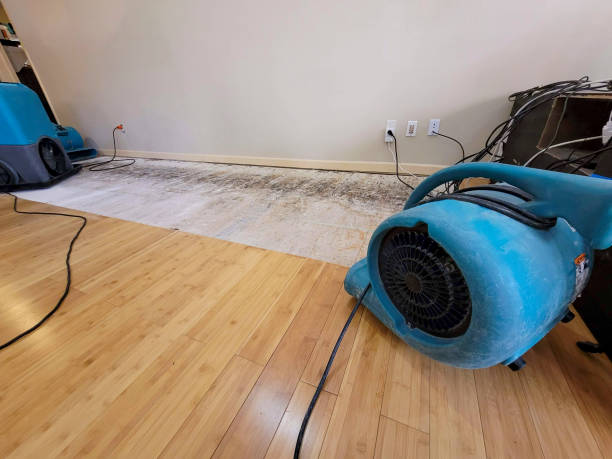 Professional Structural Drying technician working in Gratz, PA